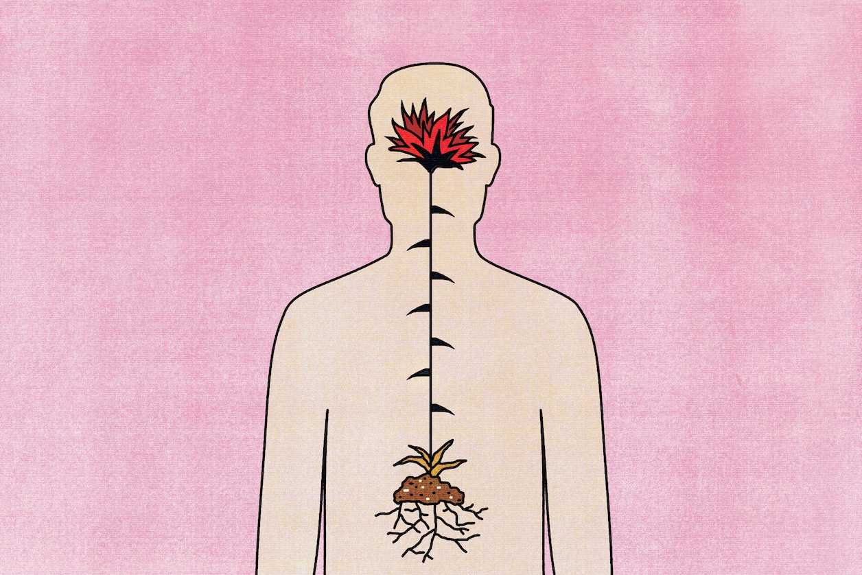 An illustration that shows the outline of a body, with roots and a plant in the stomach that grows up towards the brain where it becomes a red flower that also resembles flames.